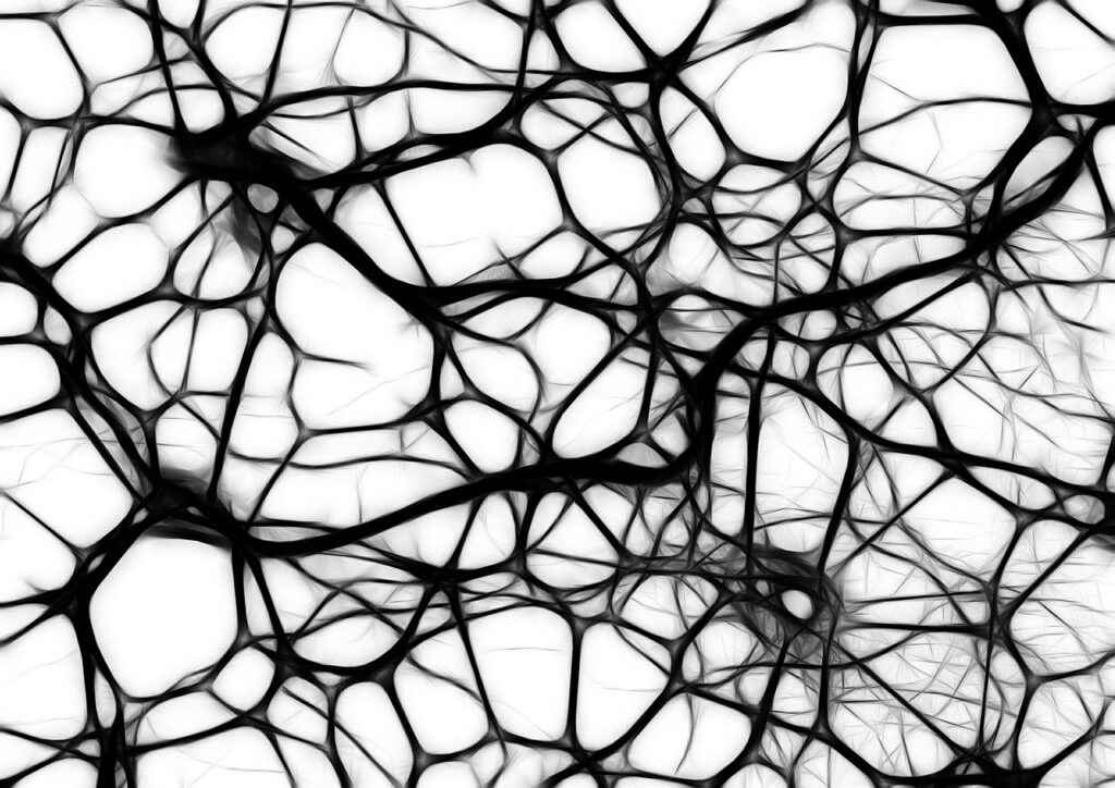 neurons, brain cells, brain structure